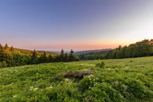 Yoga Retreat to Eagle Mountains, Czech Republic