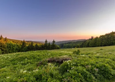 Yoga Retreat to Eagle Mountains, Czech Republic